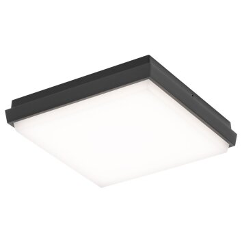 LCD 5061 Taklampa LED Svart, 1-ljuskällor