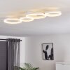 Grasse Taklampa LED Vit, 1-ljuskällor