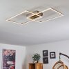 Cheka Taklampa LED Nickel matt, 2-ljuskällor, Fjärrkontroll