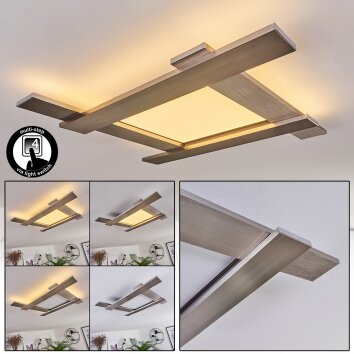 Cuchara Taklampa LED Nickel matt, 1-ljuskällor