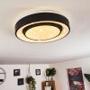 Grimacco Taklampa LED Svart, 1-ljuskällor, Färgväxlare