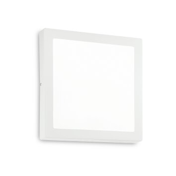 Ideallux UNIVERSAL Taklampa LED Vit, 1-ljuskällor