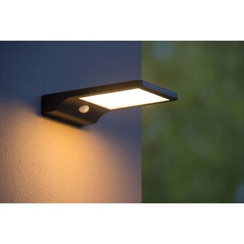 Lucide BASIC Husnummer belysning, Vägglampa LED Svart, 1-ljuskällor, Rörelsedetektor