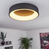 Pine Taklampa LED Svart, 1-ljuskällor