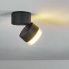 Papagayos Taklampa LED Antracit, Vit, 1-ljuskällor, Färgväxlare