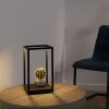 Paul Neuhaus Lampor CONTURA Bordslampa LED Svart, 2-ljuskällor