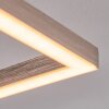 Buren Taklampa LED Nickel matt, 1-ljuskällor