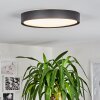 Nexo Taklampa LED Svart, 1-ljuskällor