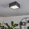 Netstal Taklampa LED Antracit, 1-ljuskällor