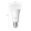 Philips Lampor E27 LED 16 Watt dagsljusvit dimbar 1600 Lumen