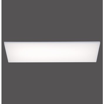 Paul Neuhaus Lampor FRAMELESS Taklampa, Panel LED Vit, 1-ljuskällor, Fjärrkontroll, Färgväxlare