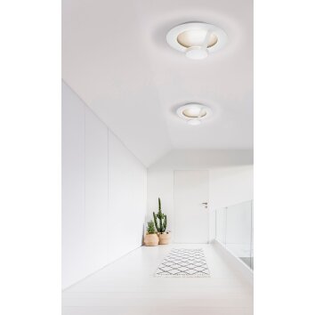 Grossmann FLAT Vägglampa LED Brun, Guld, Vit, 1-ljuskällor