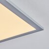 Wilderswil Taklampa, Panel LED Vit, 1-ljuskällor