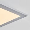 Wilderswil  Taklampa, Panel LED Vit, 1-ljuskällor