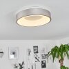 Playas Taklampa LED Silver, Vit, 1-ljuskällor