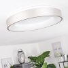 Playas Taklampa LED Silver, Vit, 1-ljuskällor