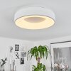 Playas Taklampa LED Vit, 1-ljuskällor