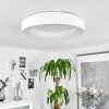 Playas Taklampa LED Vit, 1-ljuskällor