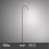 Paul Neuhaus Lampor PURE-GEMIN Golvlampa LED Aluminium, Svart, 1-ljuskällor