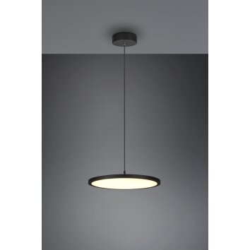 Trio Tray Pendellampa LED Svart, 1-ljuskällor