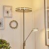 Huallilemu strålkastare, Golvlampa LED Nickel matt, 2-ljuskällor