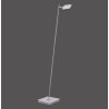 Paul Neuhaus Lampor PURE-MIRA Golvlampa, Läslampa LED Aluminium, 1-ljuskällor, Fjärrkontroll