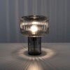 Paul Neuhaus FUNGUS Bordslampa, Läslampa Rökfärger, 1-ljuskällor