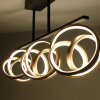 Paul Neuhaus LOOP Taklampa LED Mässing, Svart, 3-ljuskällor, Fjärrkontroll