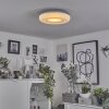 Monfebres Taklampa LED Silver, Vit, 1-ljuskällor, Fjärrkontroll, Färgväxlare