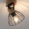 Leuchten Direkt LAMI Taklampa, Takstrålkastare, Vägglampa, Väggspotlight Naturfärger, 1-ljuskällor