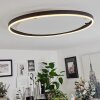 Barril Taklampa LED Vit, 1-ljuskällor