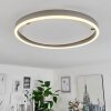 Barril Taklampa LED Aluminium, 1-ljuskällor