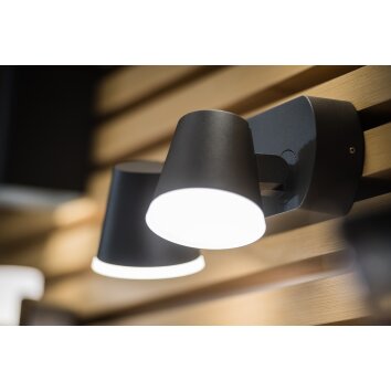 Ledvance ENDURA® vägglampa utomhus LED Grått, 2-ljuskällor