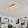 Lillavois Taklampa LED Nickel matt, 1-ljuskällor, Fjärrkontroll