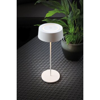 Lutec Lampor COCKTAIL Bordslampa LED Vit, 1-ljuskällor