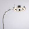 Paul Neuhaus HENSKO Bordslampa LED Silver, 1-ljuskällor