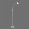 Paul Neuhaus PINO Golvlampa LED Silver, 1-ljuskällor