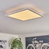 Valmanya Taklampa 40cm LED Vit, 1-ljuskällor