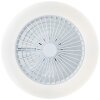 Brilliant Lampor Salerno Taklampa LED Vit, 1-ljuskällor, Fjärrkontroll