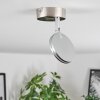 Sarnadinha Taklampa LED Nickel matt, 1-ljuskällor