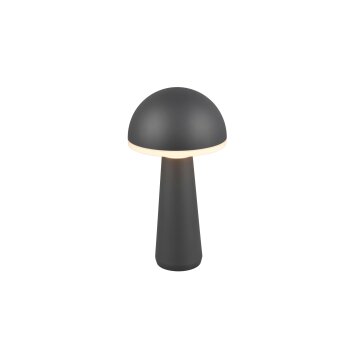 Reality FUNGO Bordslampa LED Antracit, 1-ljuskällor