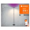 Ledvance Wifi Golvlampa LED Svart, 1-ljuskällor, Färgväxlare