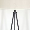 Bassagoda Golvlampa Beige, Vit, 1-ljuskällor