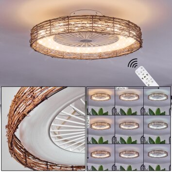 Benasal Taklampa, Takfläkt med belysning Naturfärger, Vit, 1-ljuskällor, Fjärrkontroll