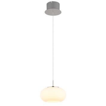 Globo Quintara Pendellampa LED Nickel matt, 1-ljuskällor