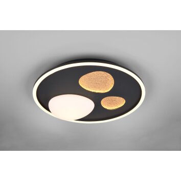 Trio Pebble Taklampa LED Svart, 1-ljuskällor, Fjärrkontroll