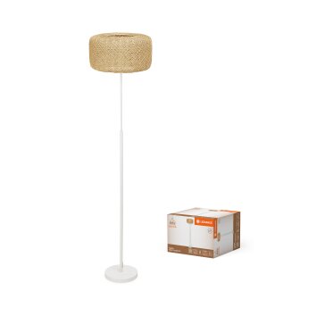 Ledvance DECOR Vägg- och taklampor Beige, 1-ljuskällor