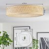 Barroco Taklampa LED Naturfärger, 1-ljuskällor