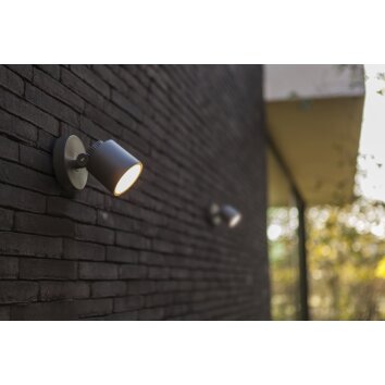 Lutec Lampor EXPLORER Vägglampa LED Antracit, 1-ljuskällor