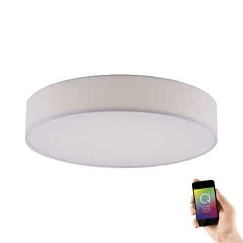 Paul Neuhaus Q-Serie Q-KIARA Taklampa LED Vit, 1-ljuskällor, Fjärrkontroll